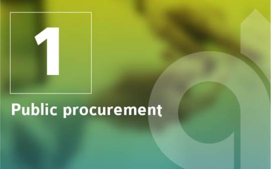 1. Introduction to public procurement in relation to SMEs